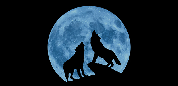 Creedence Clearwater Collective