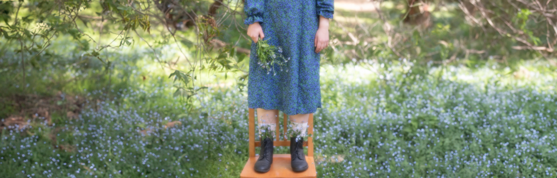 Spring Awakening