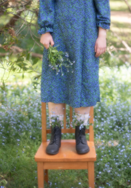 Spring Awakening